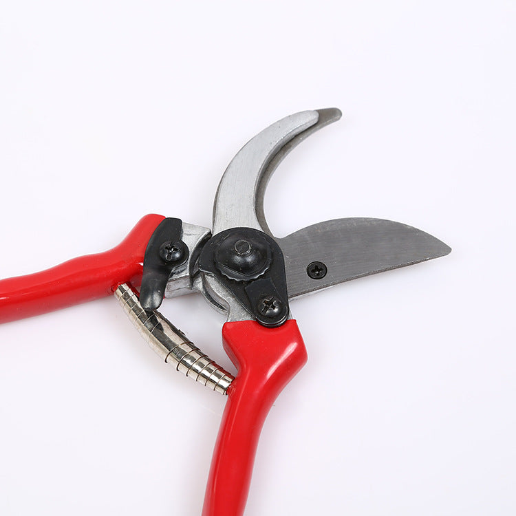 Garden Pruning Shears for Trimming Branches and Flowers